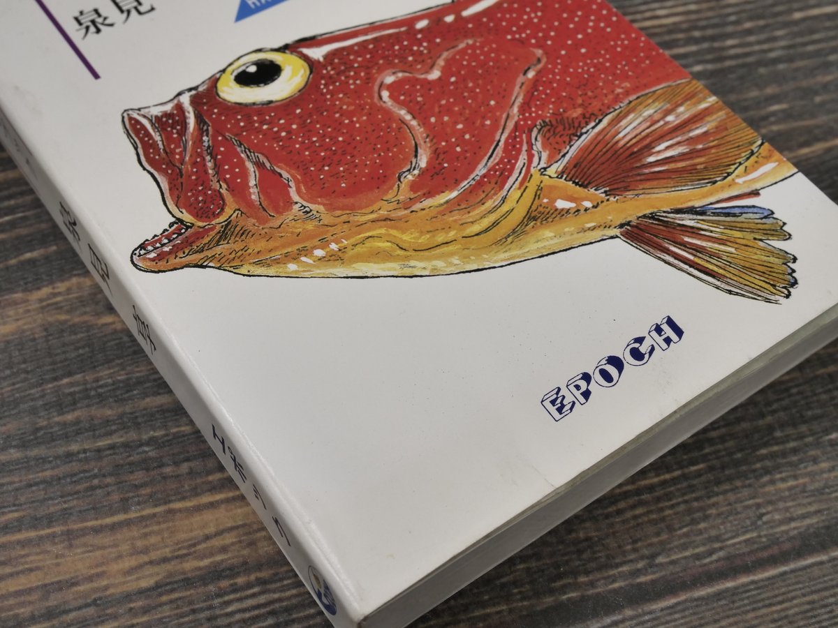 おきなわ魚 ＝おもしろハンドブック= 泉見亨 著 | 古書店うみつばめ