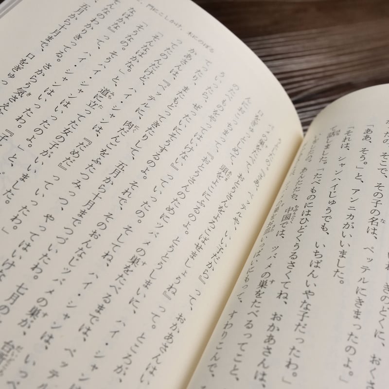 岩波少年文庫 長くつ下のピッピ（新版）（B6判）アストリッド