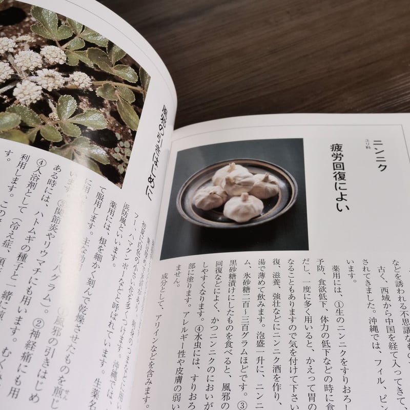 入門沖縄の薬草 吉川敏男 | 古書店うみつばめ