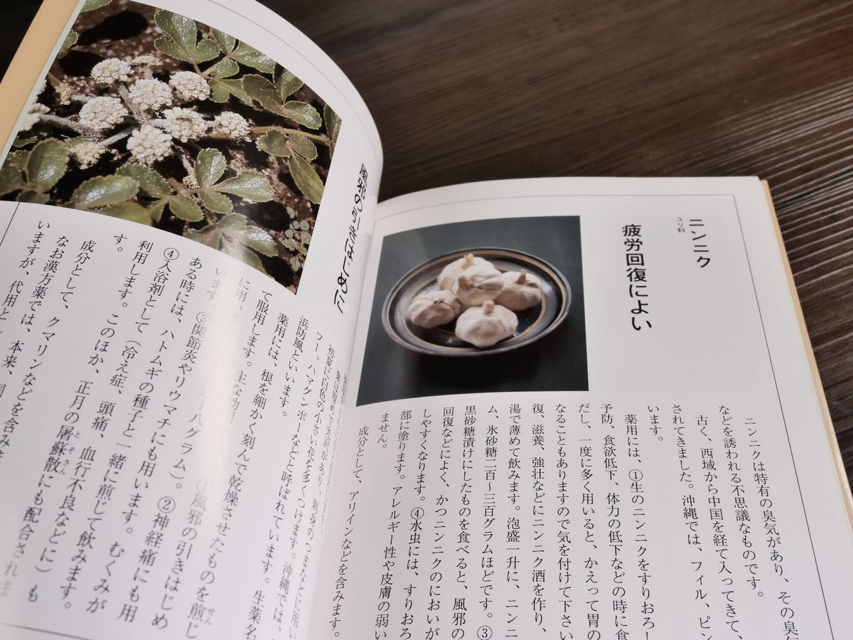 沖縄の薬草百科 沖縄の薬草百科―誰にでもできる薬草の利用法 やさしい煎じ方と