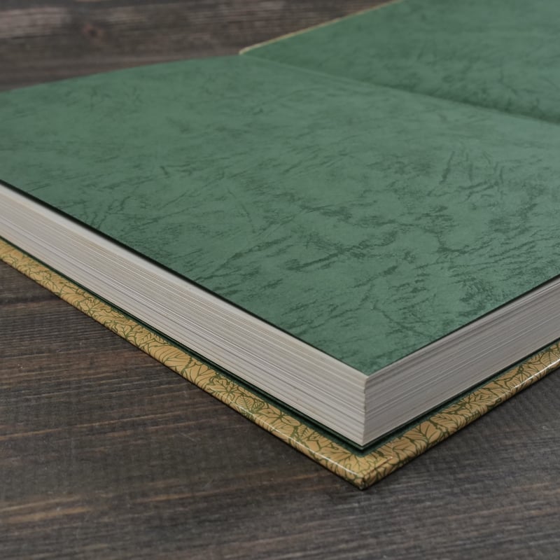 沖縄食の大百科1 山野草と山野草料理 ※強いイタミ | 古書店うみつばめ