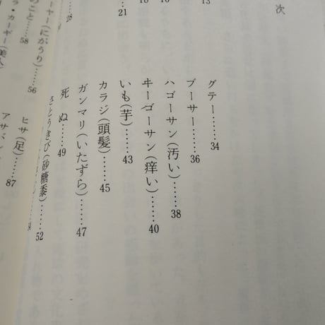 沖縄ことばの散歩道　池宮正治（おきなわ文庫）