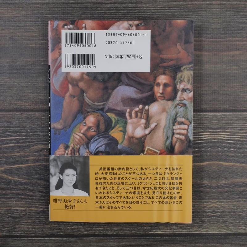 ショトル・ミュージアム システィーナのミケランジェロ（A5判