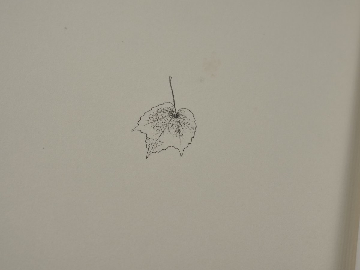 最後のひと葉 オー=ヘンリー/有吉玉青・訳/米倉斉加年・絵 | 古