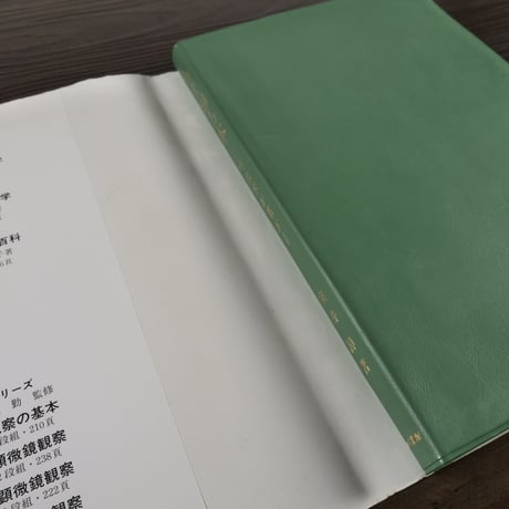 竹を知る本　竹は木か草か（B6判）室井綽
