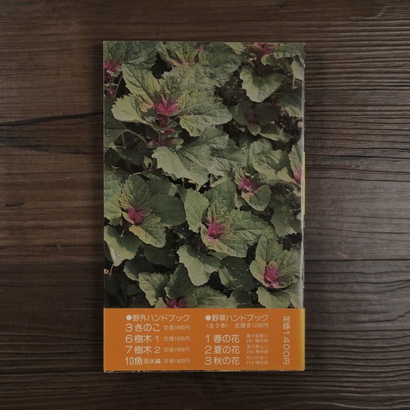 野外ハンドブック1 山菜（B6判）木原浩／山口昭彦 | 古書店うみつばめ