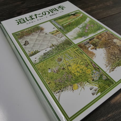 福音館のかがくのほん 道ばたの四季（大型本）たかはしきよし 絵 / 岡部牧夫 文