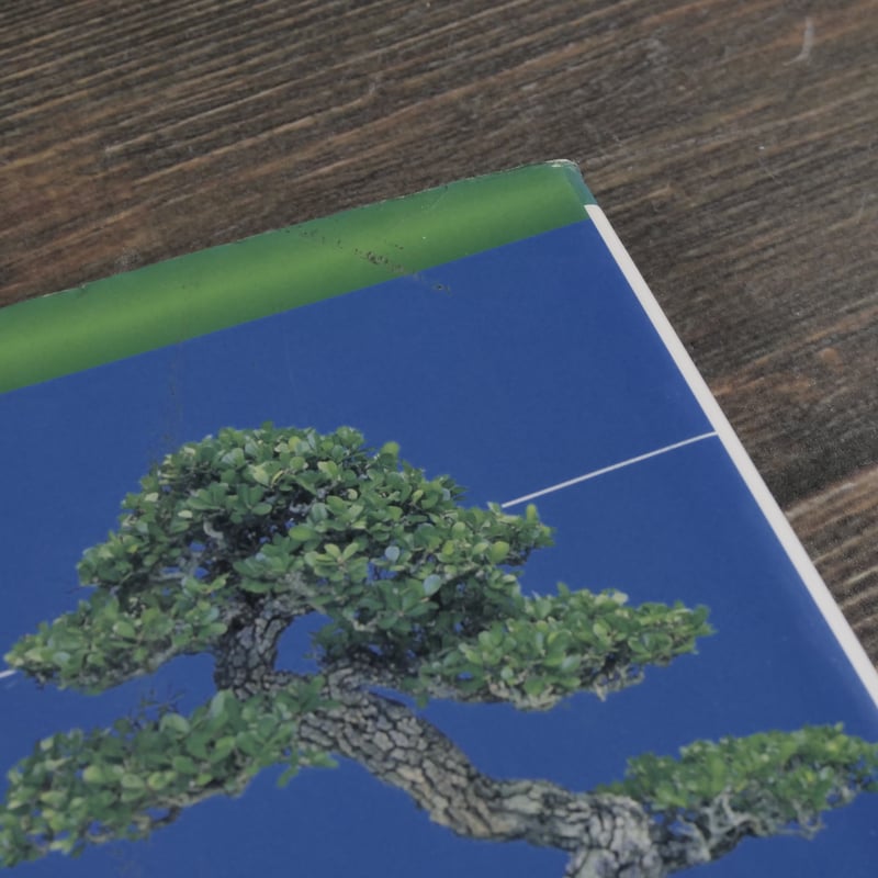 今日から始める 沖縄の盆栽づくり 弓削次男 比嘉正喜 | 古書店うみつばめ