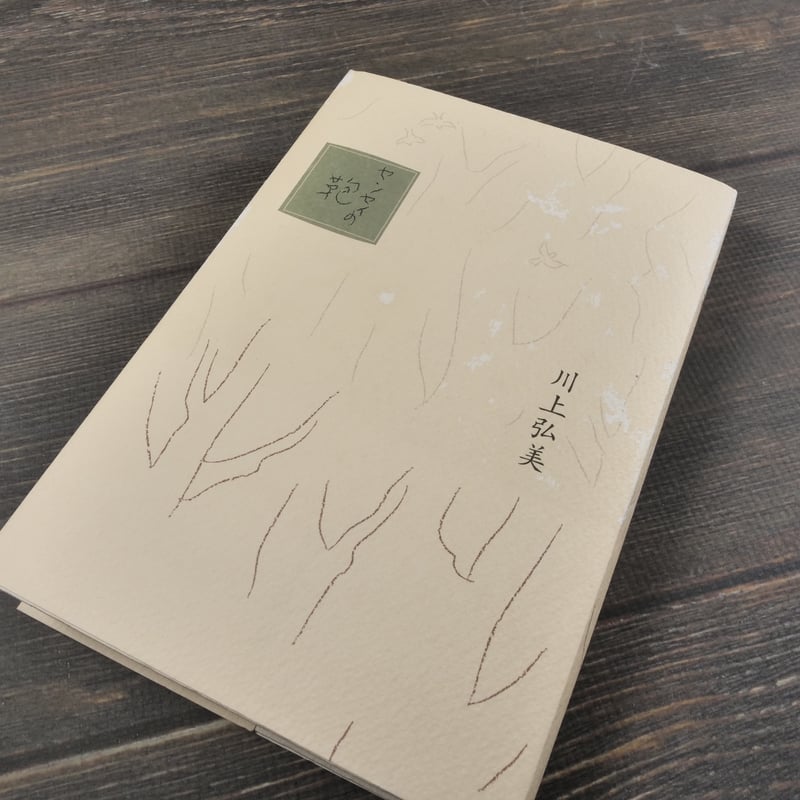 センセイの鞄 川上弘美（初版） | 古書店うみつばめ