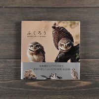 ふくろう　バイ インターナショナル