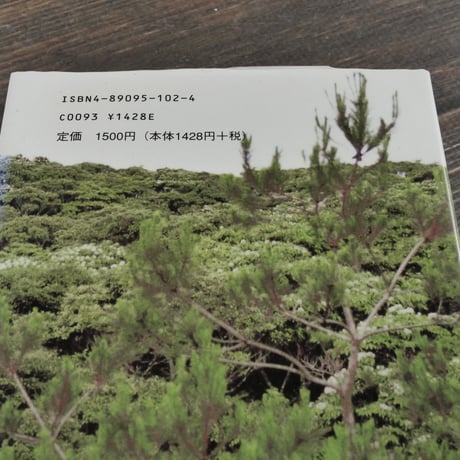 山のサバニ　大城貞俊
