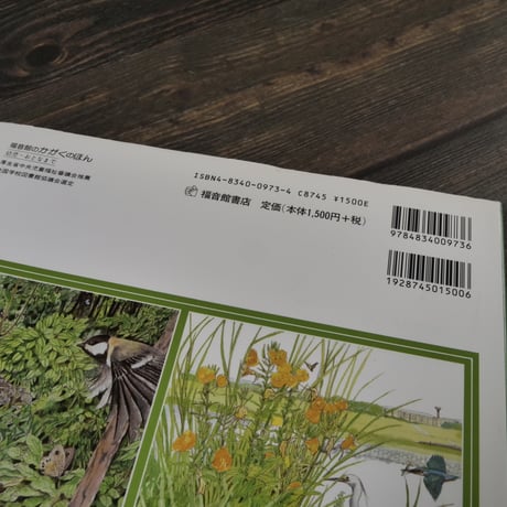 福音館のかがくのほん 道ばたの四季（大型本）たかはしきよし 絵 / 岡部牧夫 文