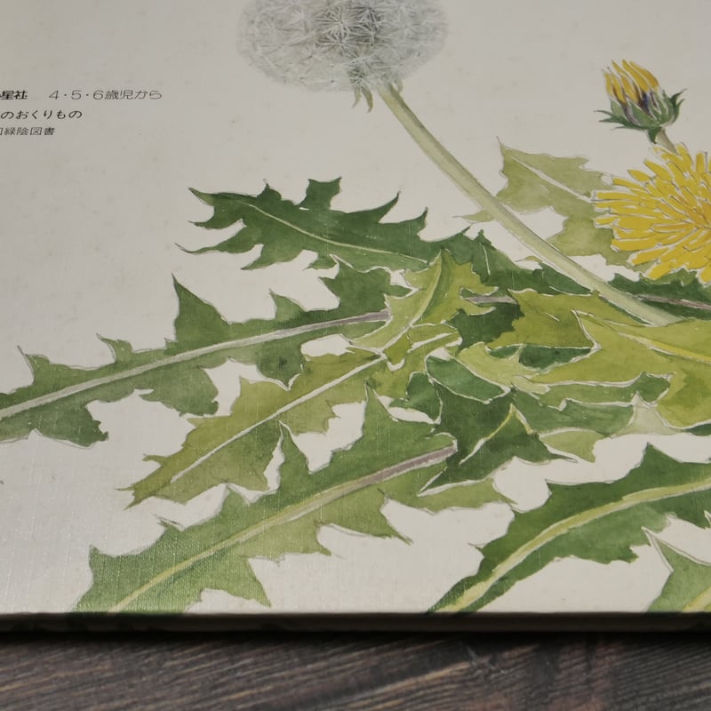 たんぽぽ 甲斐信枝：作・絵 | 古書店うみつばめ