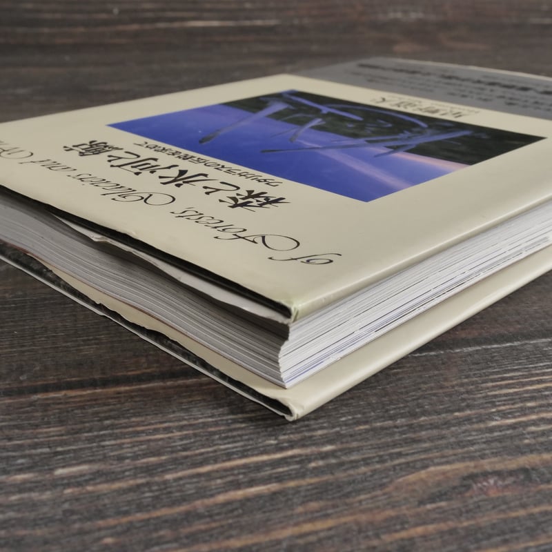 星野道夫　オリジナルプリント　証明書付 DSC_5347-1024x805.jpg