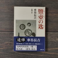 鹽壺の匙　車谷長吉　(新潮文庫）