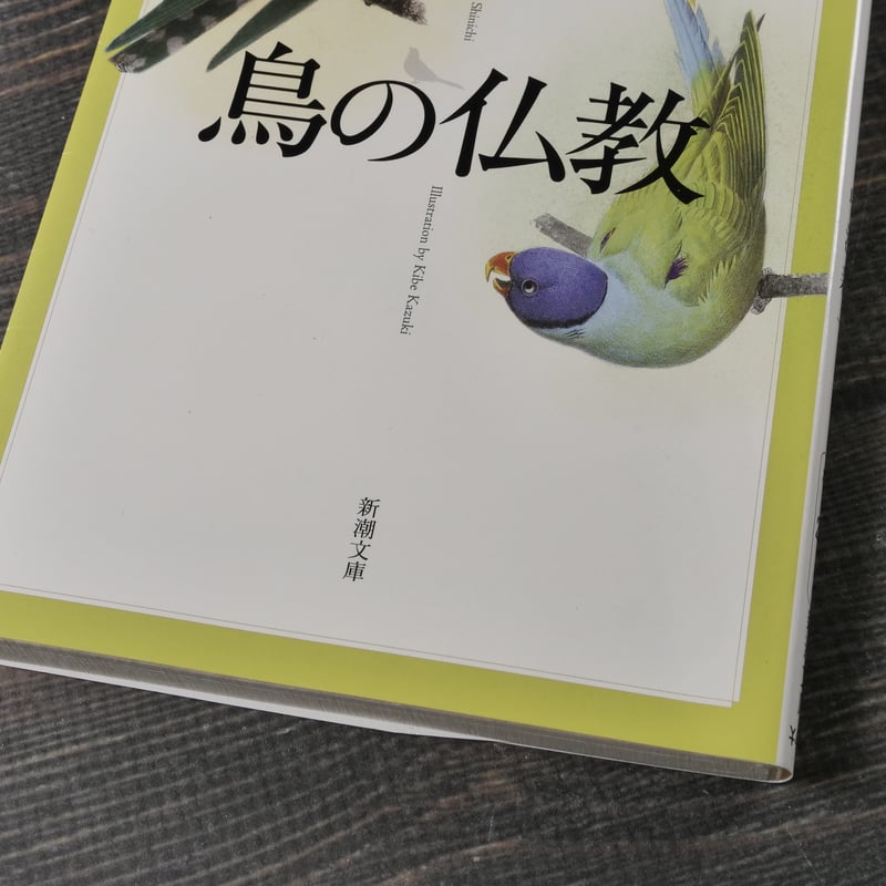 鳥の仏教 中沢 新一（新潮文庫）※再入荷 | 古書店うみつばめ
