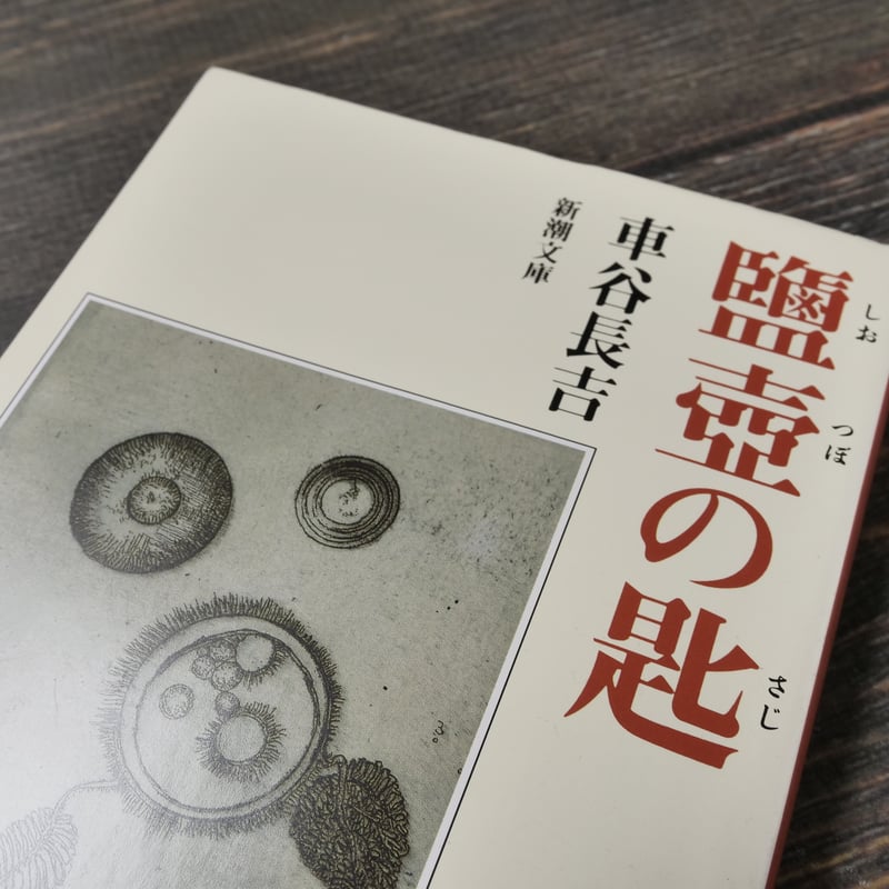 鹽壺の匙 車谷長吉 (新潮文庫） | 古書店うみつばめ