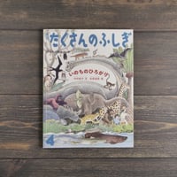 月刊「たくさんのふしぎ」2015年４月号（第361号）「いのちのひろがり」　中村桂子･文　松岡達英･絵