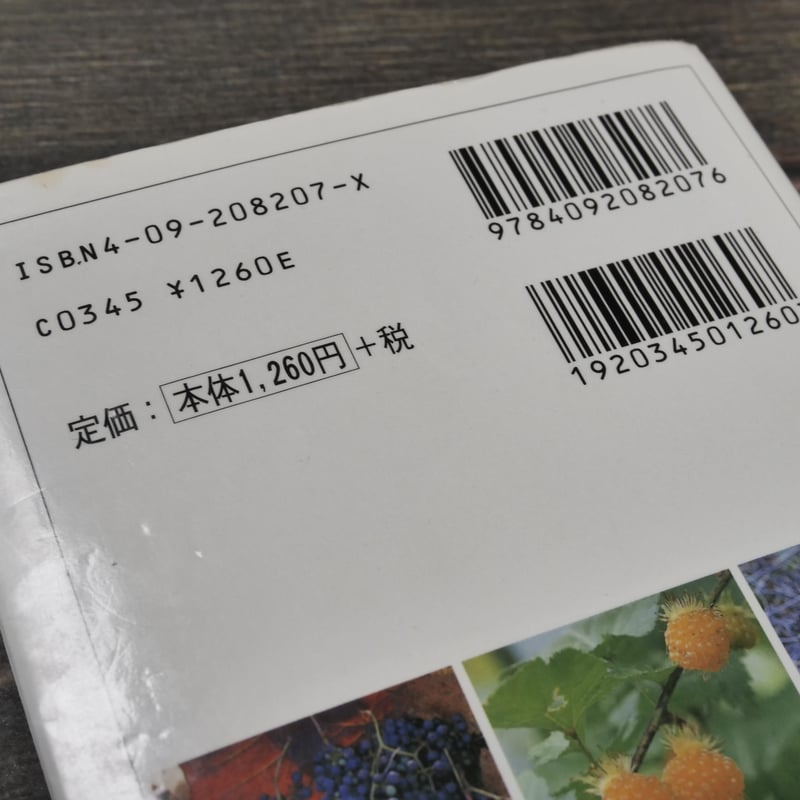 山菜・木の実 解説・写真：武田良平（小学館） | 古書店うみつばめ