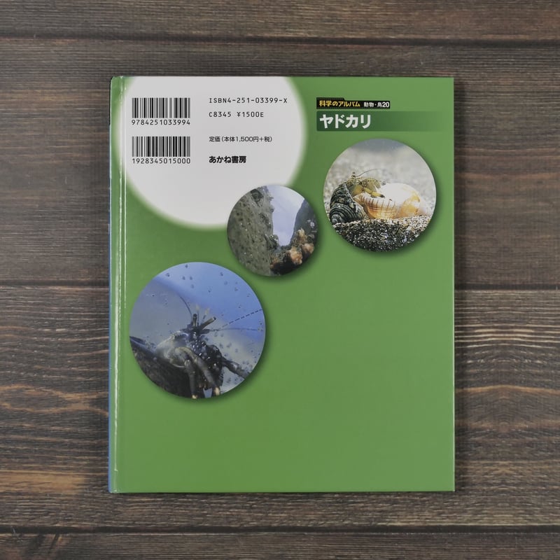 科学のアルバム ヤドカリ 川嶋一成 | 古書店うみつばめ