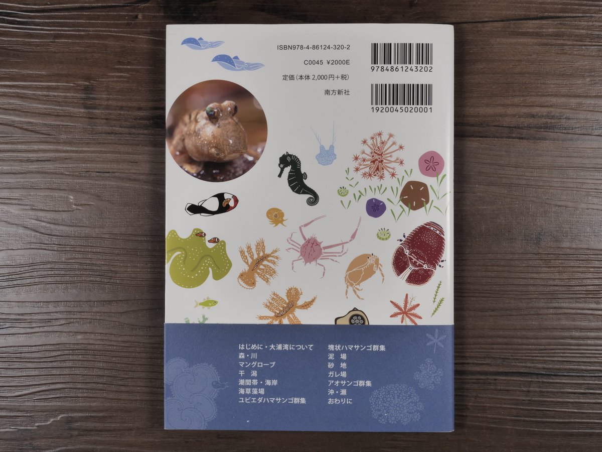 大浦湾の生きものたち 琉球弧・生物多様性の重要地点、沖縄島大浦湾