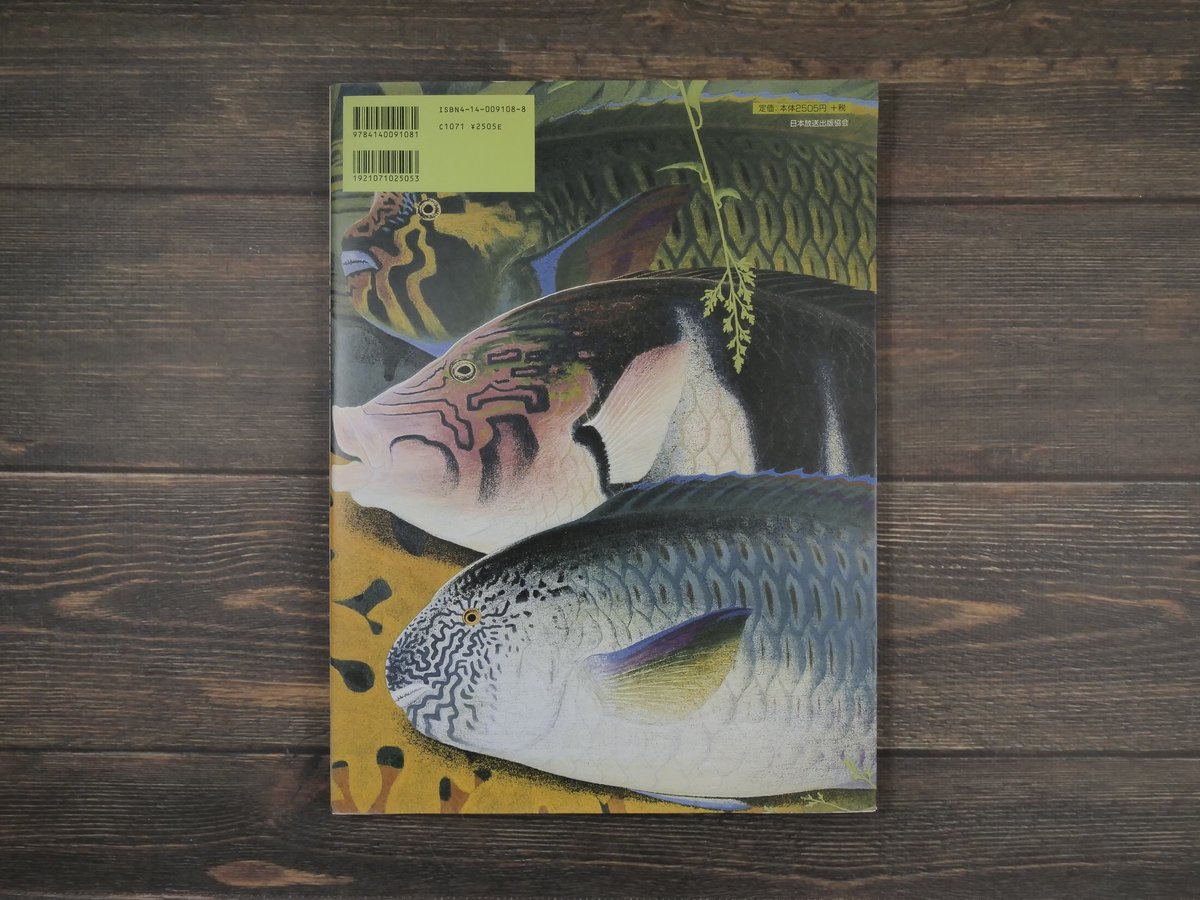 NHK日曜美術館「黒潮の画譜」田中一村作品集(大型本) | 古書店 NHK日曜美術館「黒潮の画譜」田中一村作品集(大型本) | 古書店