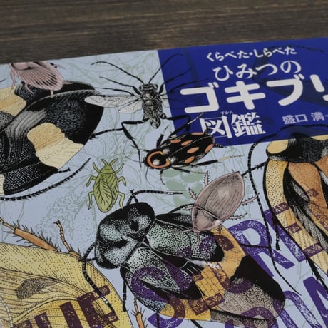 くらべた・しらべた ひみつのゴキブリ図鑑　盛口満=絵・文