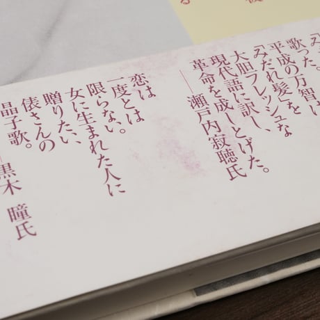 チョコレート語訳　みだれ髪（単行本）俵万智