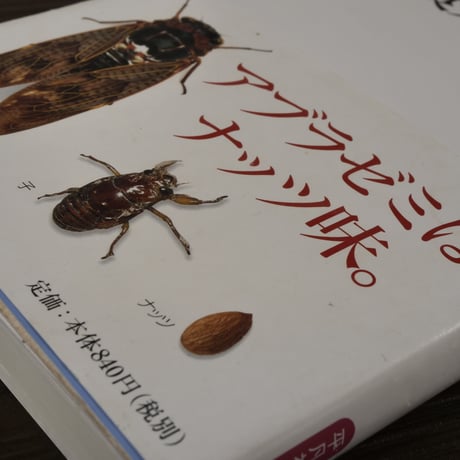 昆虫食入門　内山正一（平凡社新書）