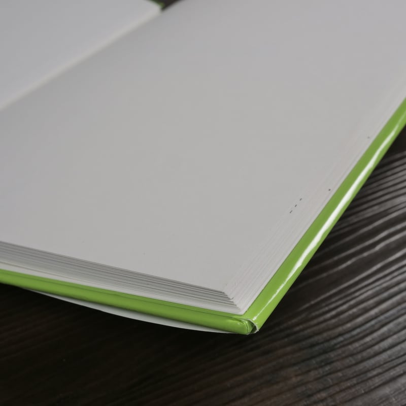 おおきな木（単行本）シェル・シルヴァスタイン／村上春樹訳 | 古書店