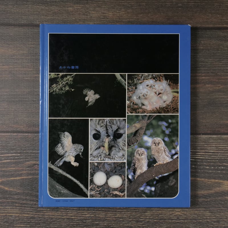 神田川　俊郎サイン入り　フクロウ 神田川 俊郎サイン入り フクロウ