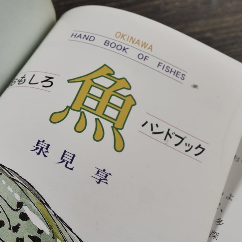 おきなわ魚 ＝おもしろハンドブック= 泉見亨 著 | 古書店うみつばめ