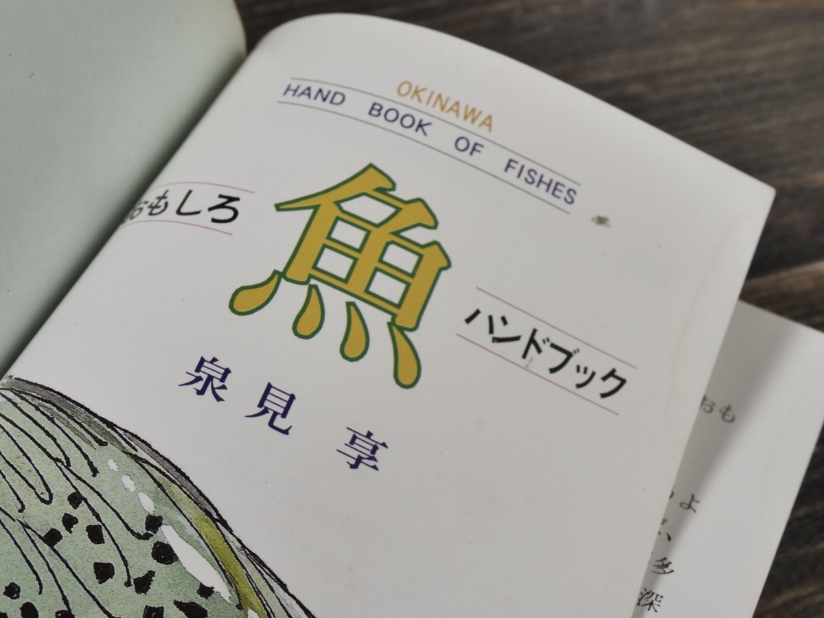 おきなわ魚 ＝おもしろハンドブック= 泉見亨 著 | 古書店うみつばめ