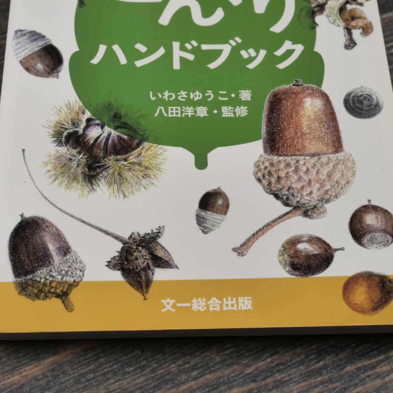 どんぐりハンドブック いわさゆうこ 著 | 古書店うみつばめ