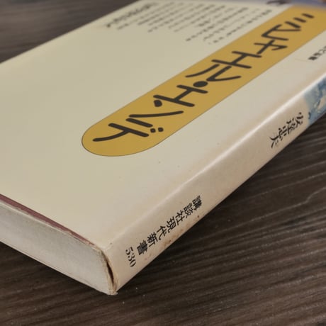 ミヒャエル・エンデ　安達忠夫（講談社現代新書）
