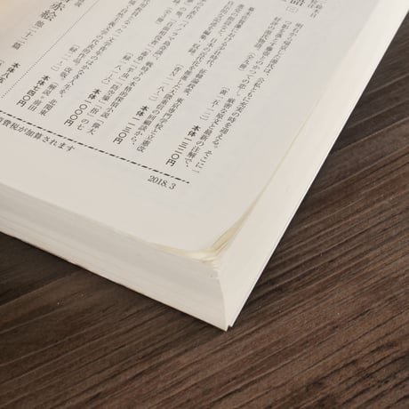江戸川乱歩作品集 III　パノラマ島奇談・偉大なる夢、他（岩波文庫）江戸川乱歩