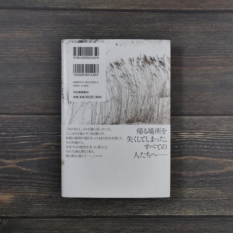 ＪＲ上野駅公園口（四六判）柳 美里