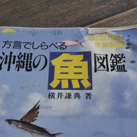 方言でしらべる 沖縄の魚図鑑  横井謙典