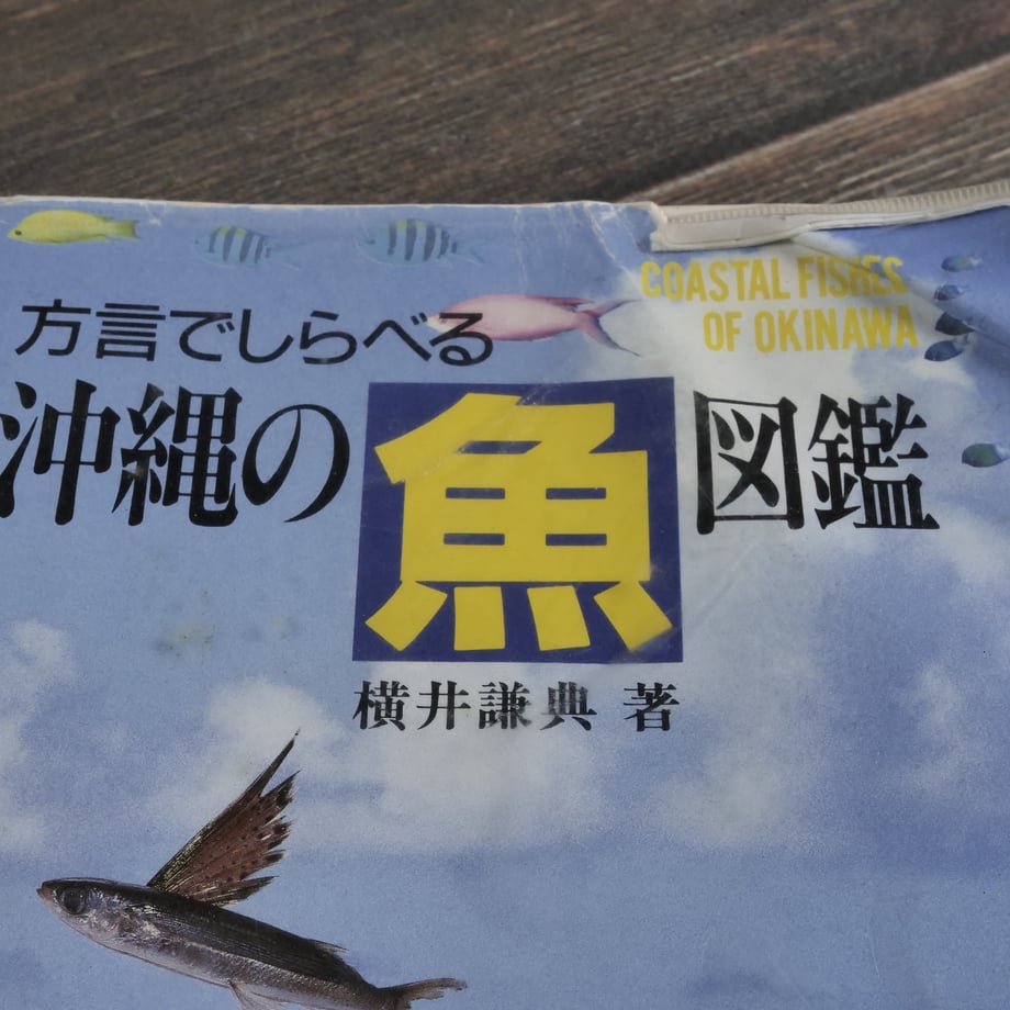 66a6e71ec99ac7108907e2f8