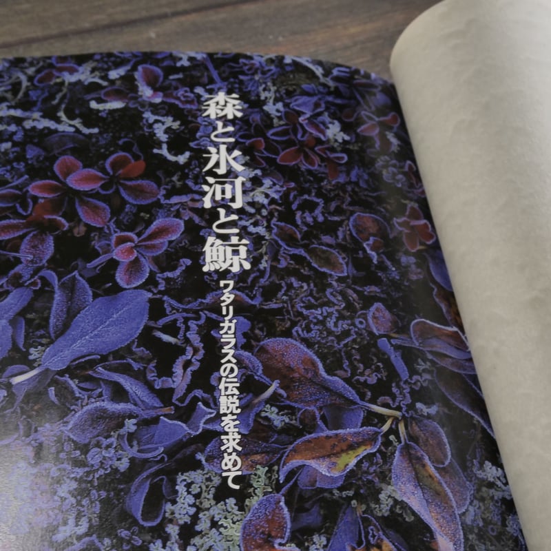 森と氷河と鯨 ワタリガラスの伝説を求めて 星野道夫 | 古書店うみつばめ