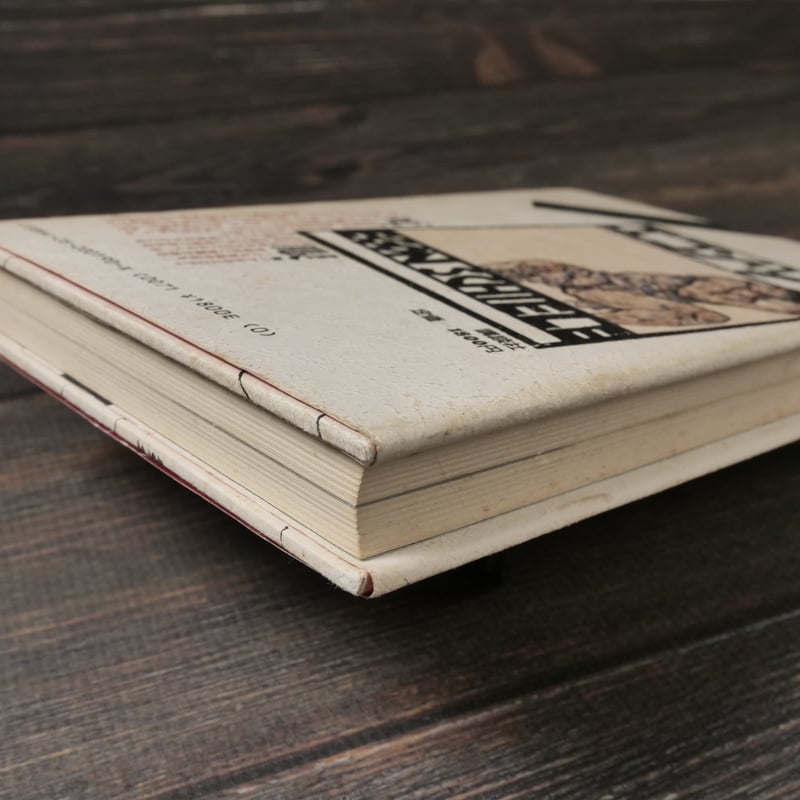 エゴン・シーレ（B6判）フランク・ウィットフォード著/八重樫春樹訳