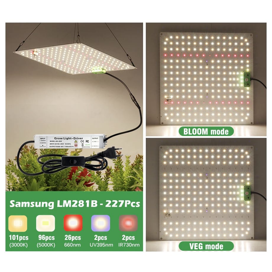 6364abb0211ac36ac86f1e95