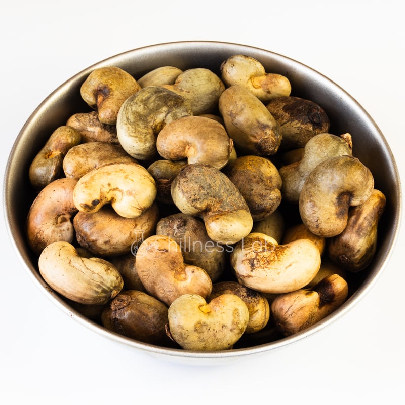 50粒 カシューナッツ Anacardium occidentale 種子 Anacardium occidentale カシューナッツ 種子 | Chillness Lab