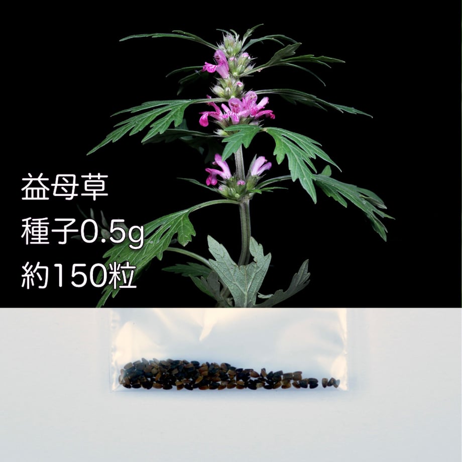 665fedfe717c420045988e80