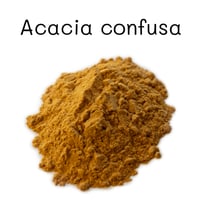 アカシア・コンフサ パウダー Acacia Confusa Root Bark Powder 10:1