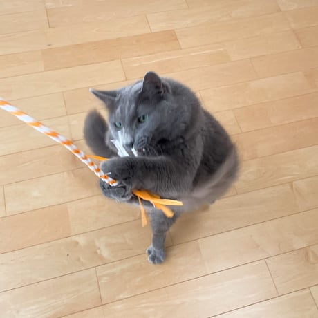 猫紐【レーヨン】(棒付き)