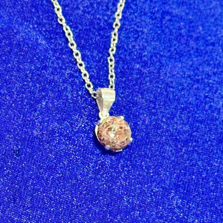 ダイナソーボーン | STORES