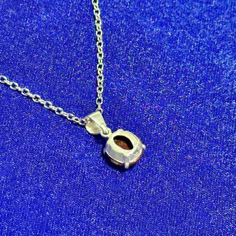 希少宝石】恐竜の骨「ダイナソーボーン」ネックレス | ジュエリー春日