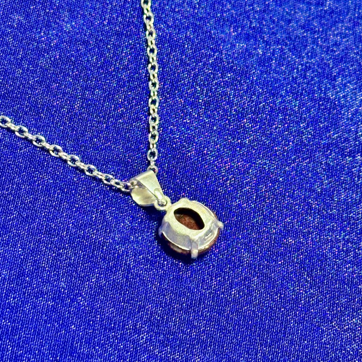 希少宝石】恐竜の骨「ダイナソーボーン」ネックレス | ジュエリー春日