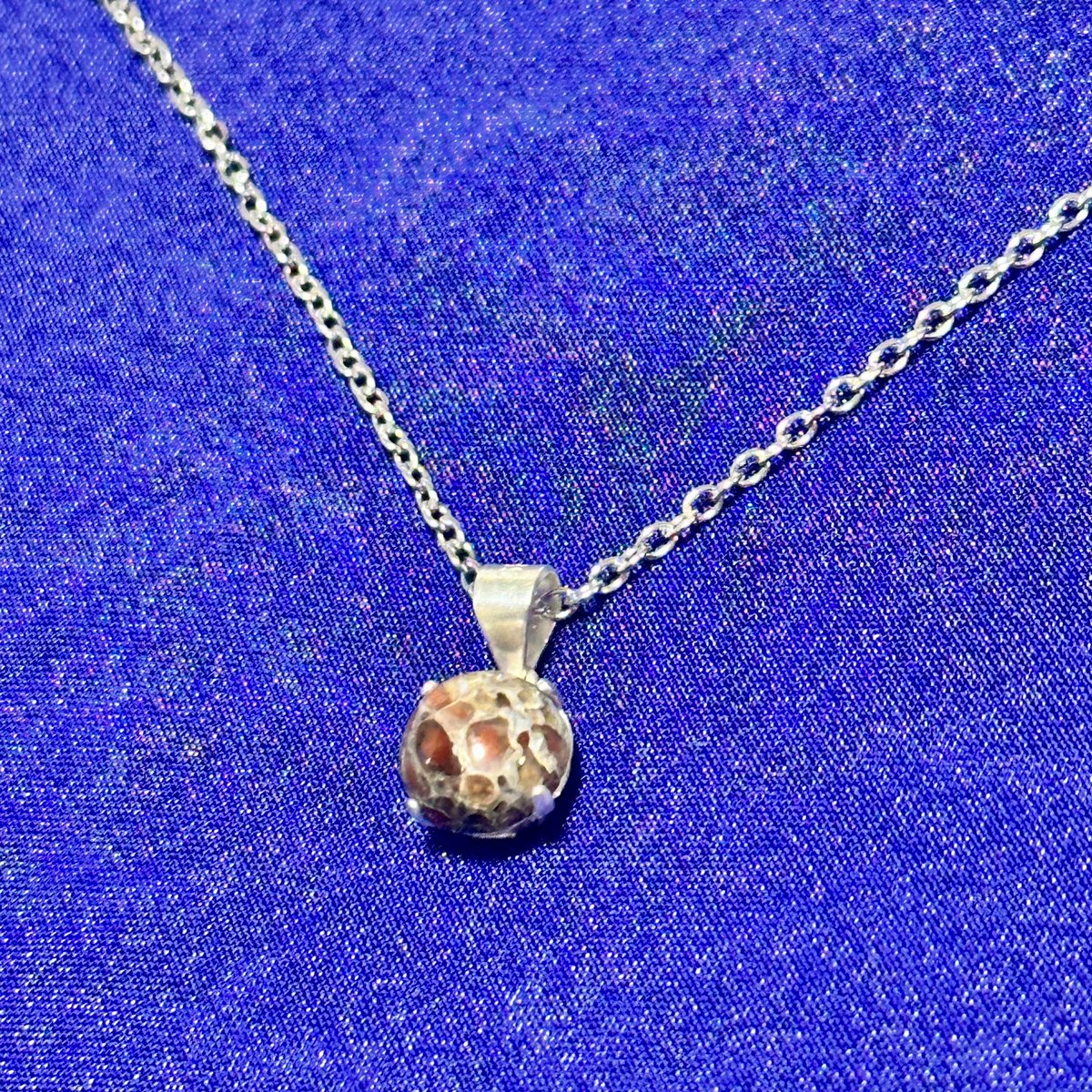 希少宝石】恐竜の骨「ダイナソーボーン」ネックレス | ジュエリー春日